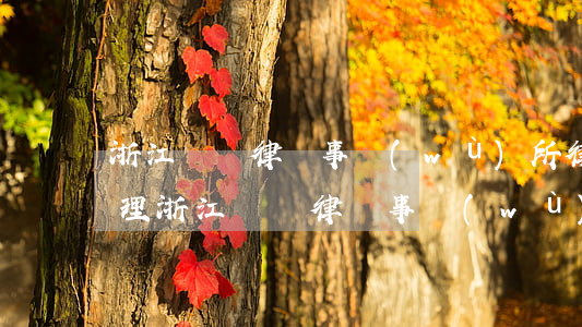 浙江綠銀律師事務(wù)所律師函怎么處理(浙江綠銀律師事務(wù)所催款)