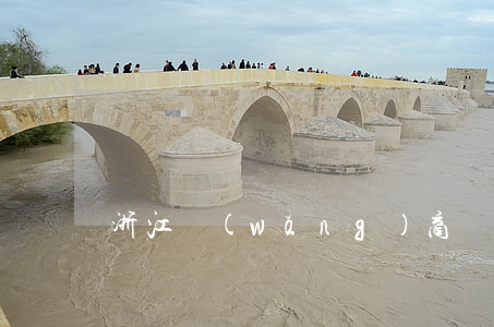 浙江網(wǎng)商貸暴力催收