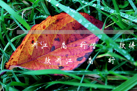 浙江網商銀行借唄還款待處理戶-借唄線下還款浙江網商銀行
