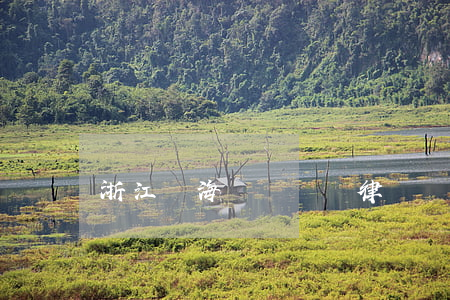 浙江臨海債務糾紛律師(臨海欠款律師)