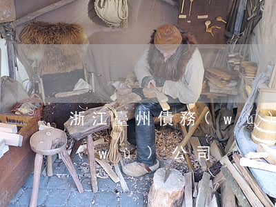 浙江臺州債務(wù)訴訟律師-臺州債務(wù)公司