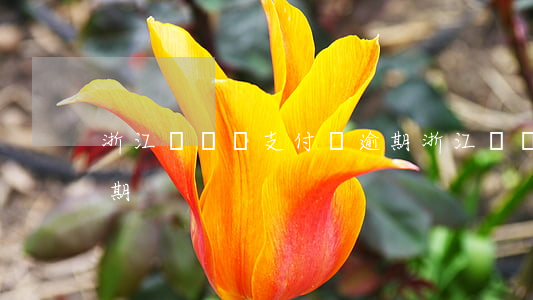 浙江號碼說支付寶逾期（浙江號碼說支付寶逾期）