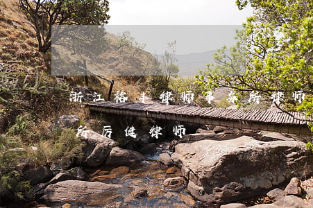 浙江裕丰律师事务所律师(浙江裕丰律师事务所厉健律师)