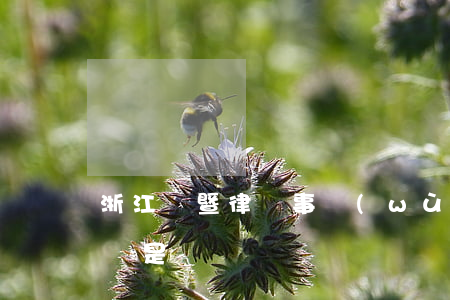 浙江諸暨律師事務(wù)所(諸暨最好的律師是誰)