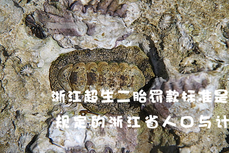 浙江超生二胎罚款标准是怎样的法律是怎样规定的（浙江省人口与计划生育条例的相关规定）