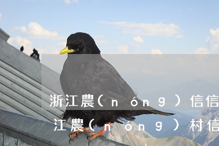 浙江農(nóng)信信用卡逾期容時期(浙江農(nóng)村信用社信用卡還款寬限期)