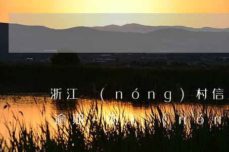 浙江農(nóng)村信用社豐收卡30萬逾期-浙江農(nóng)村信用社豐收信用卡