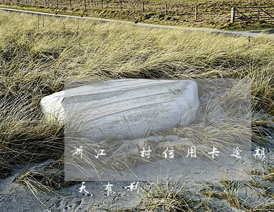浙江農村信用卡逾期1天(農村信用卡逾期一天有影響嗎)