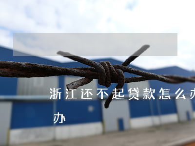 浙江还不起贷款怎么办(浙江还不起贷款怎么办)