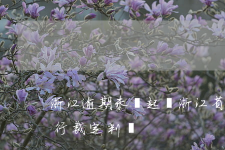 浙江逾期未還起訴(浙江省拒不執(zhí)行裁定判決)