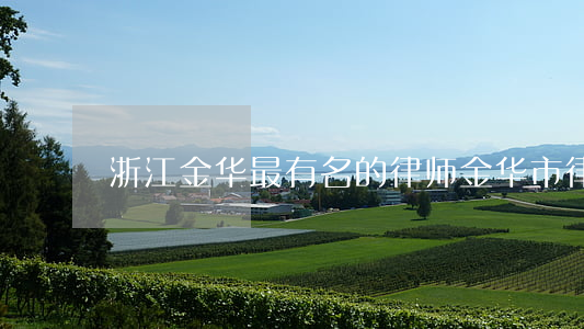 浙江金华最有名的律师(金华市律师)