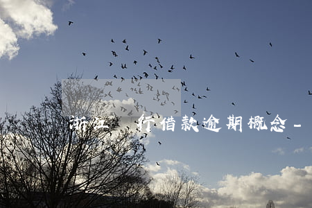 浙江銀行借款逾期概念-浙商銀行超短貸