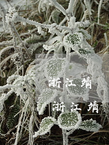 浙江靖遠(yuǎn)律師事務(wù)所(浙江靖遠(yuǎn)律師事務(wù)所謝祥興)