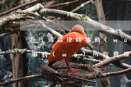 浙江靖霖律師事務(wù)所地址(靖霖律師事務(wù)所收費標準)