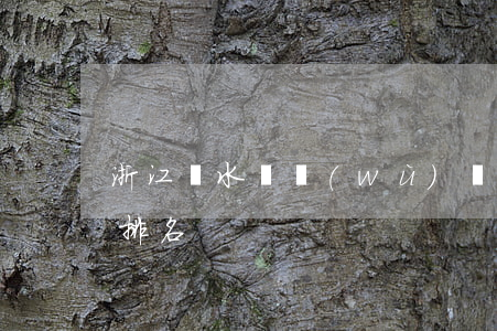 浙江麗水債務(wù)訴訟律師-麗水律師排名