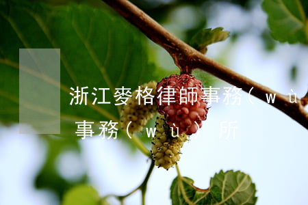 浙江麥格律師事務(wù)所(浙江麥維律師事務(wù)所)