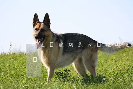 浙里貸逾期怎么處理(浙里貸逾期家人會知道嗎)