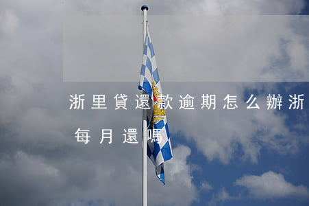 浙里貸還款逾期怎么辦(浙里貸怎么還款利息每月還嗎)