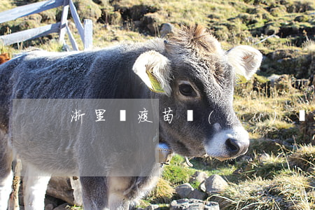 浙里辦疫苗預(yù)約逾期后怎么處理-