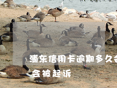 浦东信用卡逾期多久会起诉(“信用卡逾期多久会被起诉”)