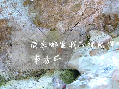 浦东哪里找正规的律师(上海哪里有好的律师事务所)