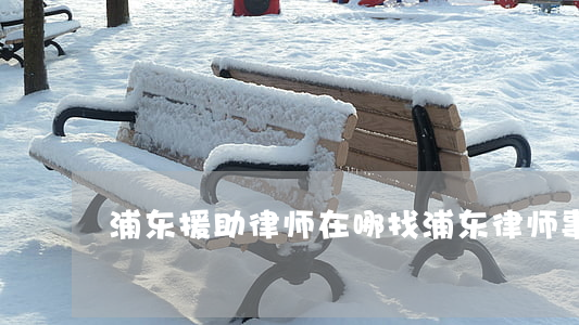 浦东援助律师在哪找(浦东律师事务所咨询)
