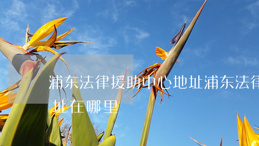 浦东法律援助中心地址(浦东法律援助中心地址在哪里)