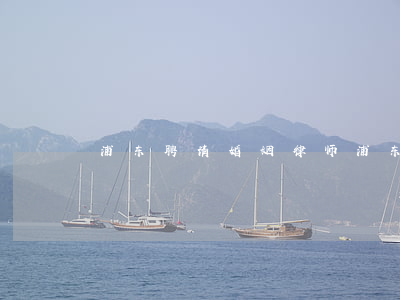 浦东聘请婚姻律师(浦东聘请婚姻律师)