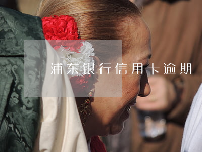 浦东银行信用卡逾期