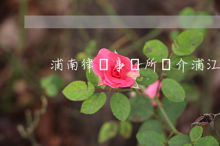 浦南律師事務所簡介(浦江律師電話號碼)