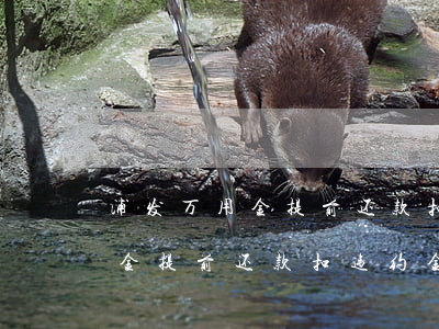 浦发万用金提前还款扣违约金吗-浦发万用金提前还款扣违约金吗是真的吗