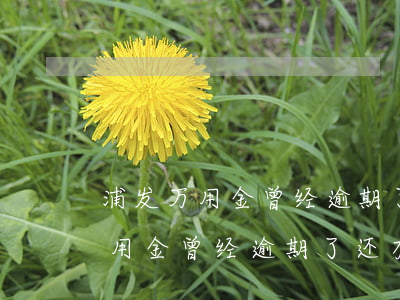 浦发万用金曾经逾期了还有能用吗-浦发万用金曾经逾期了还有能用吗安全吗