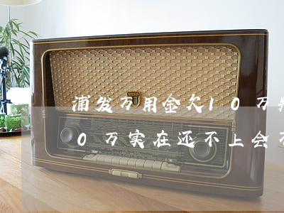 浦发万用金欠10万判几年(欠浦发万用金20万实在还不上,会不会坐牢)