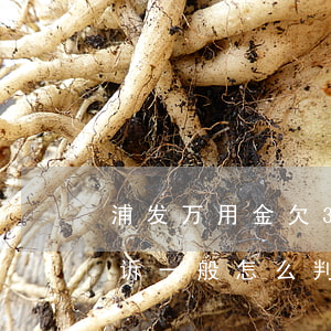 浦发万用金欠3年了会起诉吗(浦发万用金起诉一般怎么判 怎么执行)
