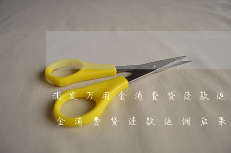 浦发万用金消费贷还款返佣后果-浦发万用金消费贷还款返佣后果怎么样