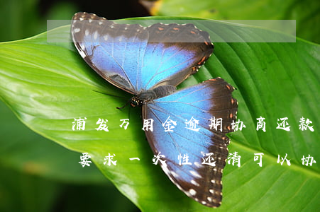 浦发万用金逾期协商还款技巧(浦发万用金被要求一次性还清,可以协商吗)