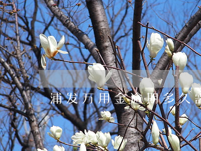 浦发万用金逾期多久需一次性结清贷款？
