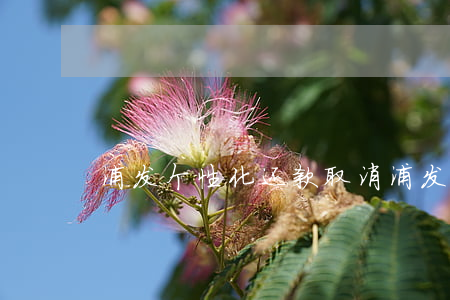 浦发个性化还款取消(浦发银行怎么取消)