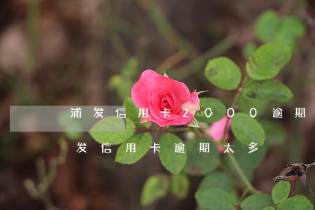 浦发信用卡2000逾期三个月会怎么样（浦发信用卡逾期太多）