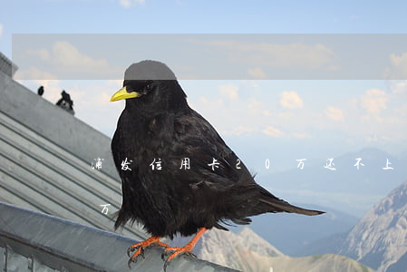 浦发信用卡20万还不上（浦发信用卡欠20万）