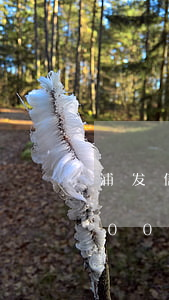 浦发信用卡22000逾期(浦发信用卡8000元逾期一年,会起诉立案吗)
