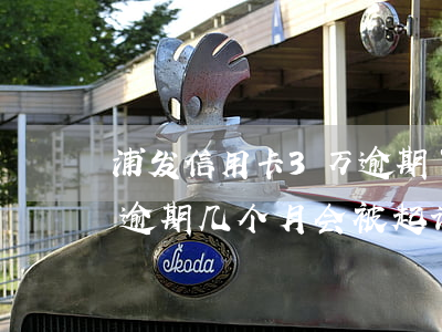 浦发信用卡3万逾期了(欠浦发信用卡三万元逾期几个月会被起诉呢)