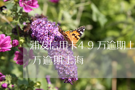 浦发信用卡49万逾期上海(浦发信用卡49万逾期上海)
