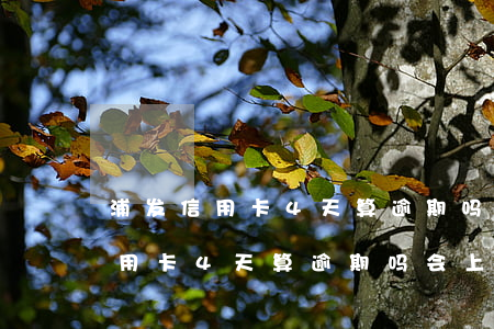 浦发信用卡4天算逾期吗会上门吗-浦发信用卡4天算逾期吗会上门吗知乎