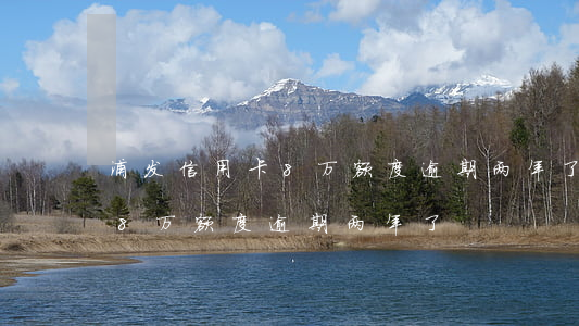 浦发信用卡8万额度逾期两年了(浦发信用卡8万额度逾期两年了)