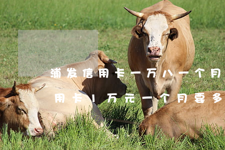 浦发信用卡一万八一个月回起诉吗-浦发信用卡1万元一个月要多少利息