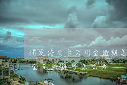 浦发信用卡万用金逾期怎么处理-浦发万用金无法还了怎么办