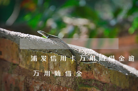 浦发信用卡万用随借金逾期费-浦发银行的万用随借金
