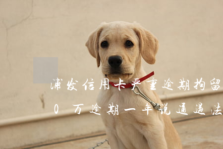 浦发信用卡严重逾期拘留(浦发银行信用卡20万逾期一年说通过法律程序追讨)