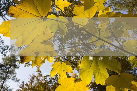 浦发信用卡分期逾期半年(浦发信用卡逾期6天停卡)